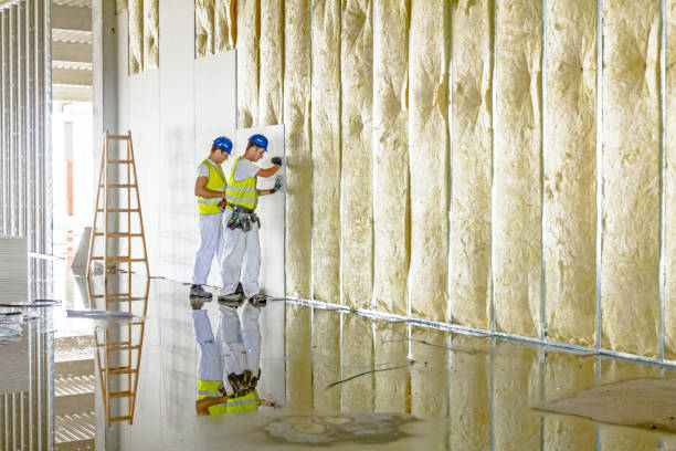 Best Residential Insulation in Sidy, NE